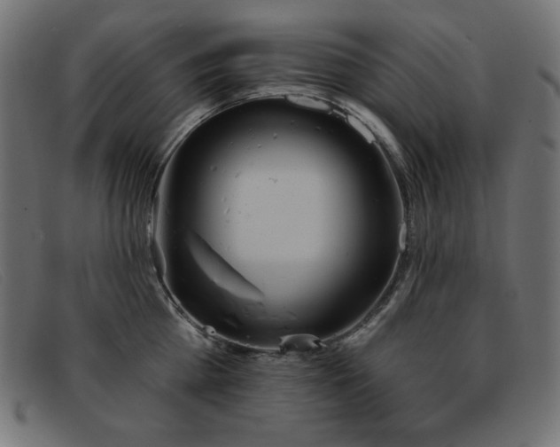 X0000093360809200710111453