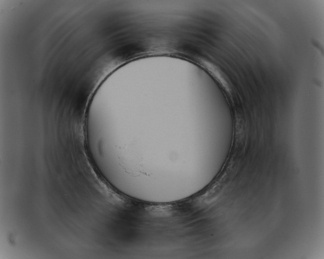 X0000093360810200710111453