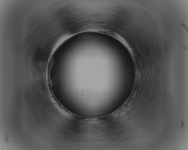 X0000093360811200710111453
