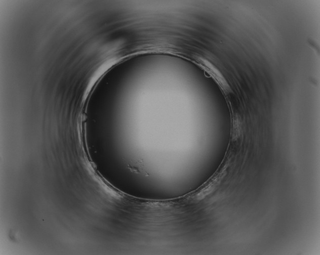 X0000093360812200710111453