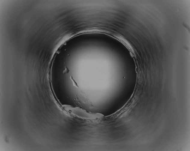 X0000093360813200710111453