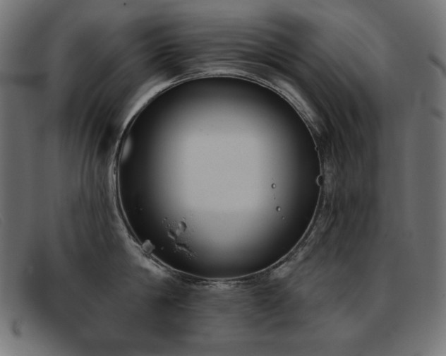 X0000093360814200710111453