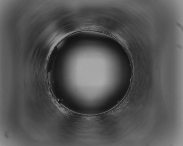 X0000093360816200710111453