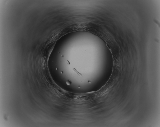 X0000093360818200710111453