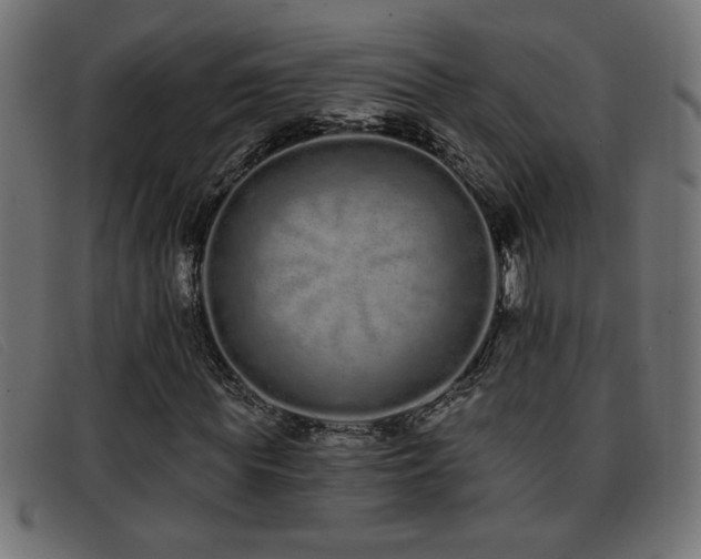 X0000093360819200710111453
