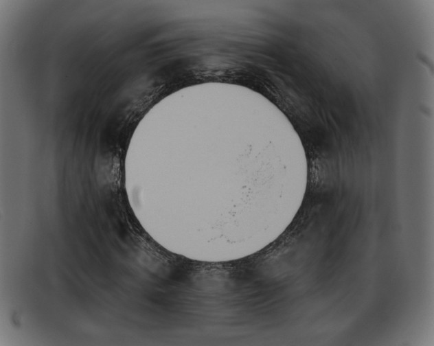 X0000093360820200710111453