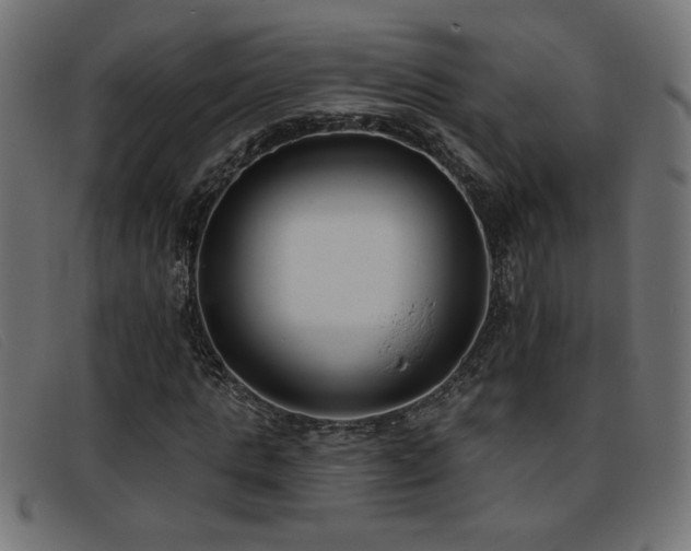 X0000093360821200710111453