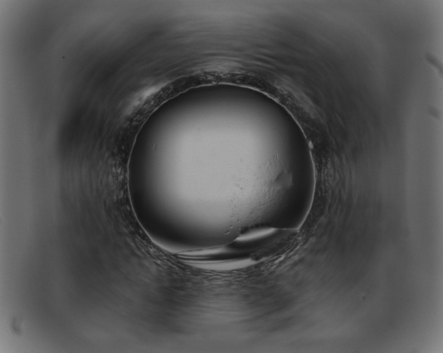 X0000093360822200710111453