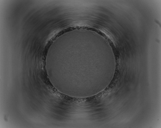 X0000093360823200710111453