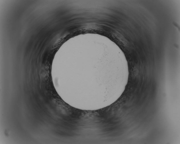X0000093360824200710111453