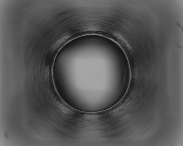 X0000093360825200710111453