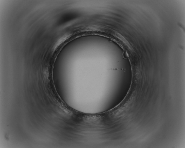 X0000093360826200710111453