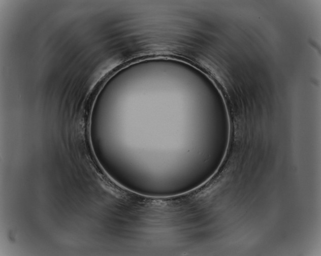 X0000093360827200710111453