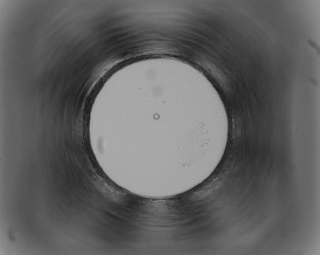 X0000093360828200710111453