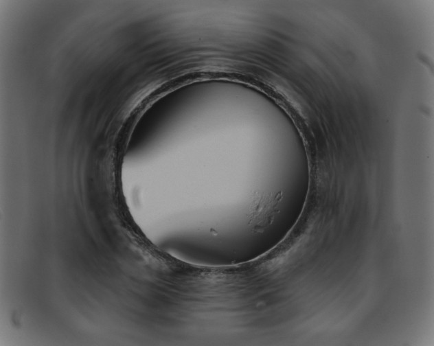 X0000093360829200710111453