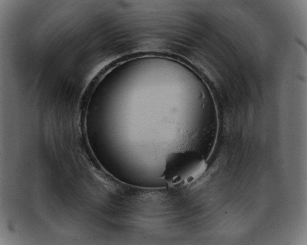 X0000093360830200710111453