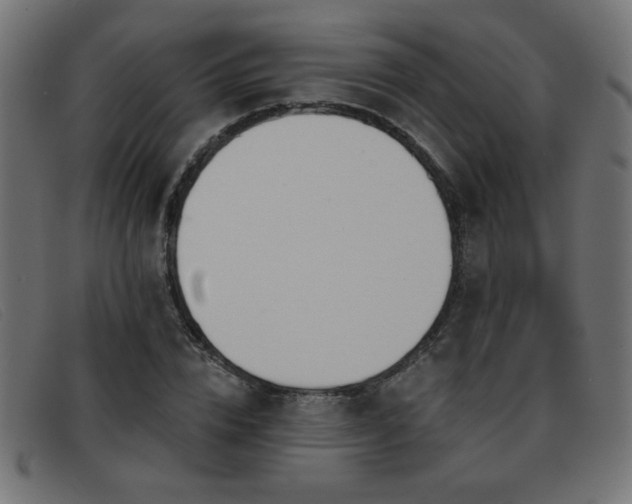 X0000093360832200710111453
