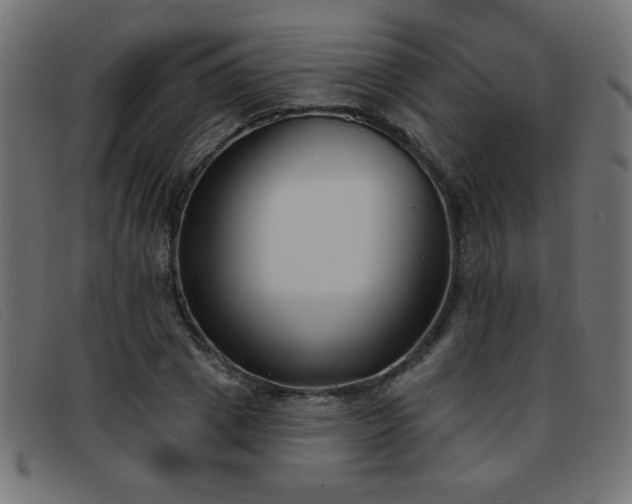 X0000093360833200710111453