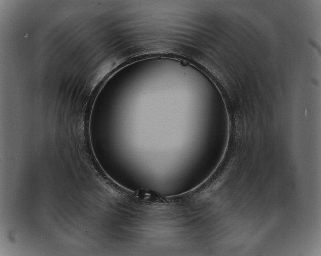 X0000093360834200710111453