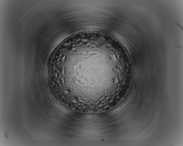 X0000093360835200710111453