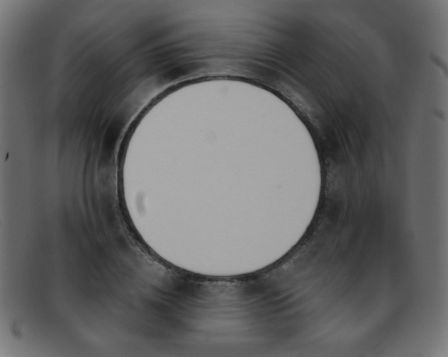 X0000093360836200710111453