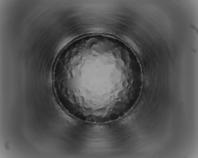 X0000093360839200710111453