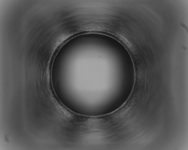 X0000093360840200710111453