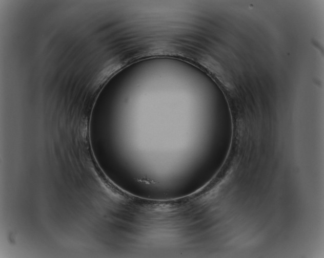 X0000093360841200710111453