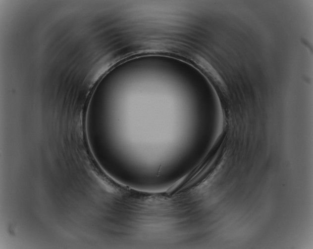 X0000093360842200710111453