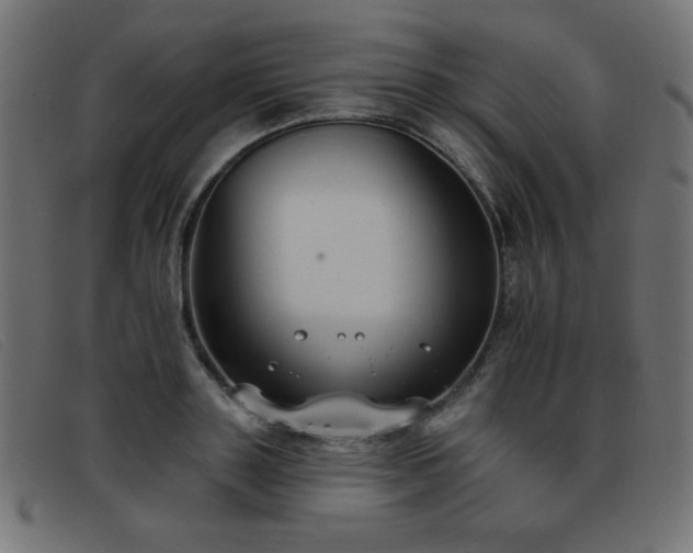 X0000093360843200710111453