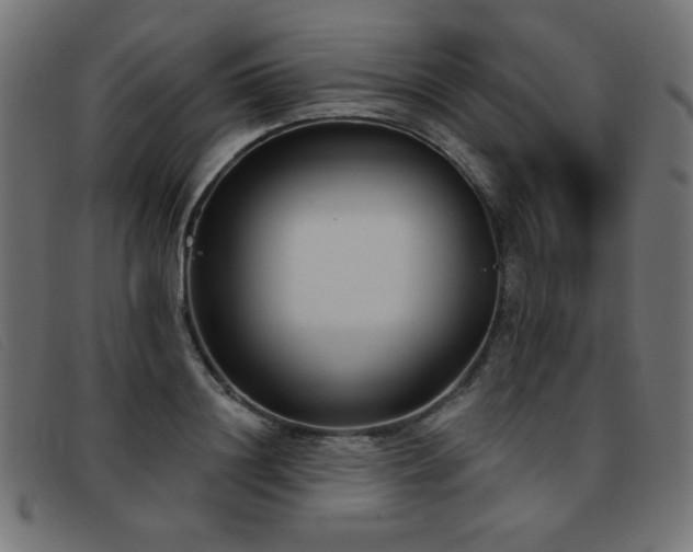 X0000093360844200710111453