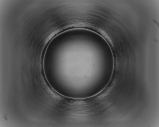 X0000093360845200710111453