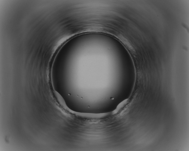 X0000093360846200710111453