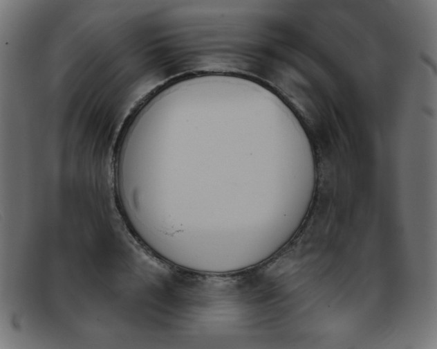 X0000093360848200710111453