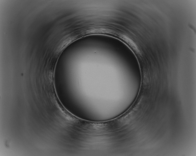 X0000093360849200710111453