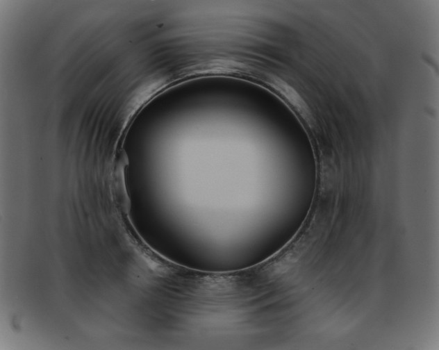 X0000093360850200710111453