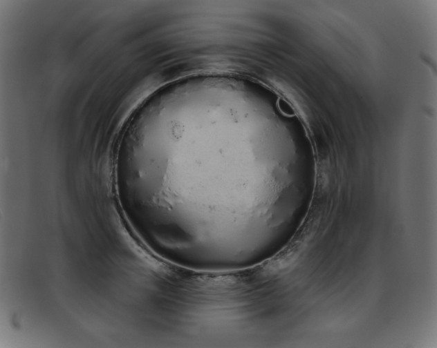 X0000093360851200710111453
