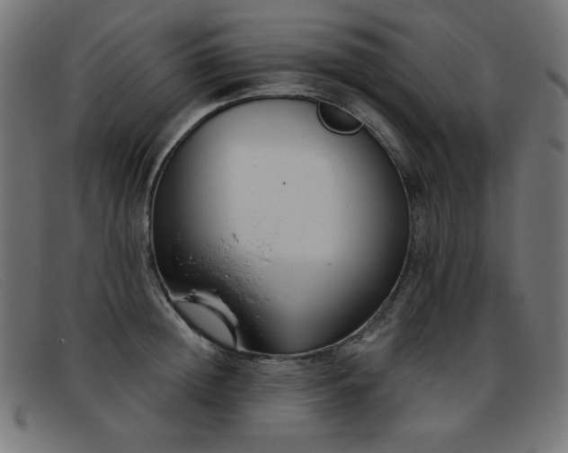 X0000093360852200710111453