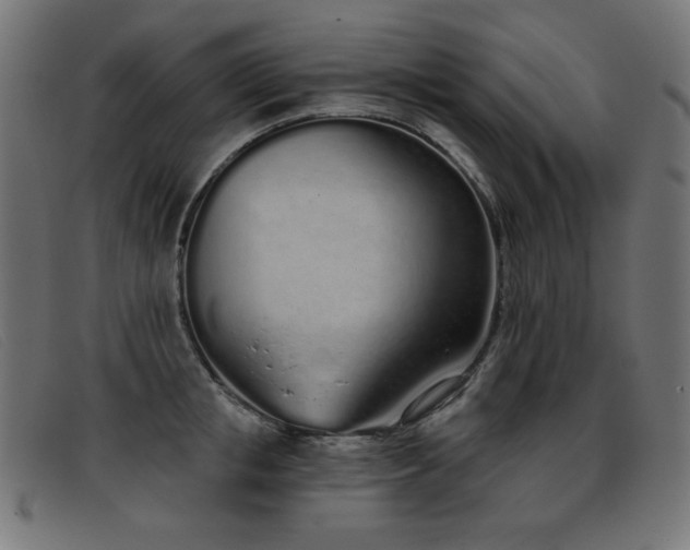 X0000093360853200710111453