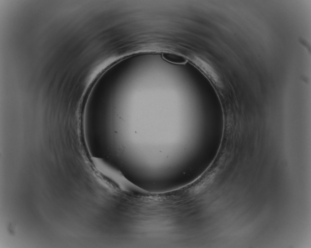 X0000093360854200710111453