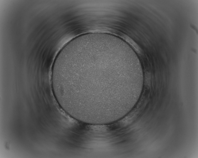 X0000093360856200710111453