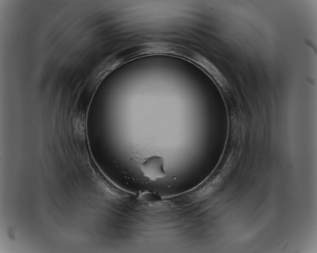 X0000093360857200710111453