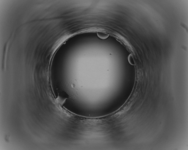 X0000093360860200710111453