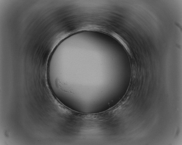 X0000093360861200710111453