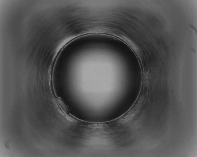 X0000093360862200710111453