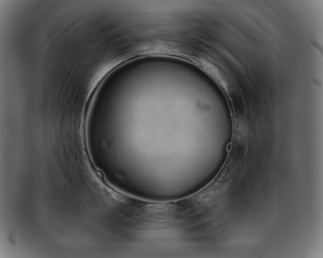 X0000093360863200710111453