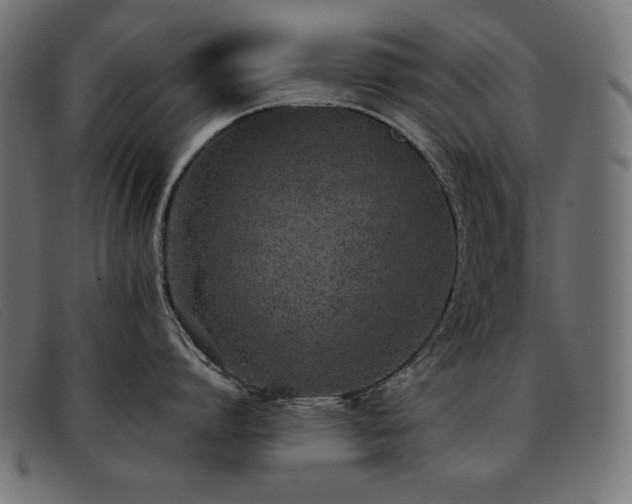 X0000093360864200710111453