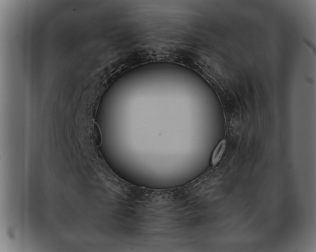 X0000093360865200710111453