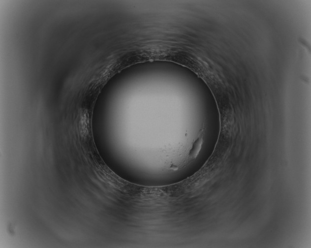 X0000093360866200710111453