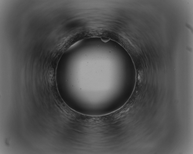 X0000093360867200710111453